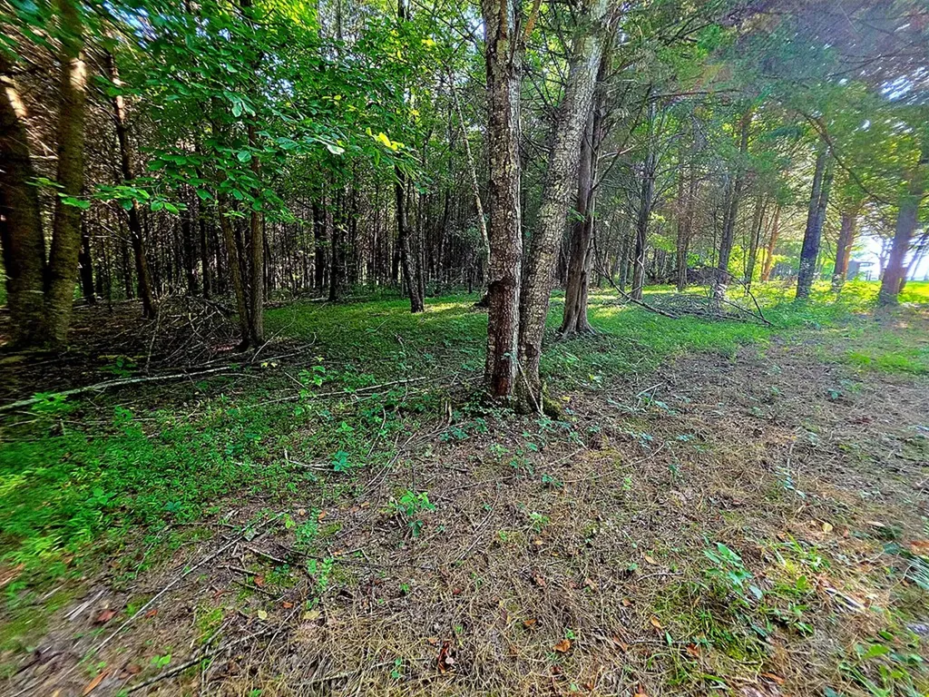 5.40 Ac. Tulip Lane Cookeville TN 38501
