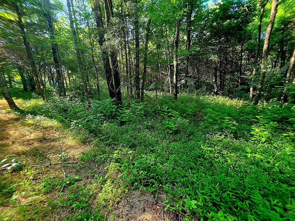 5.40 Ac. Tulip Lane Cookeville TN 38501