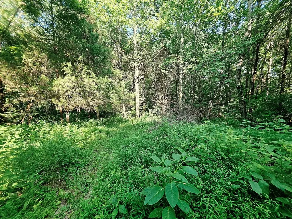 5.40 Ac. Tulip Lane Cookeville TN 38501