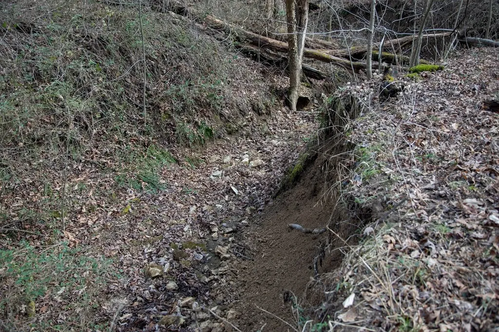 5.40 Ac. Tulip Lane Cookeville TN 38501