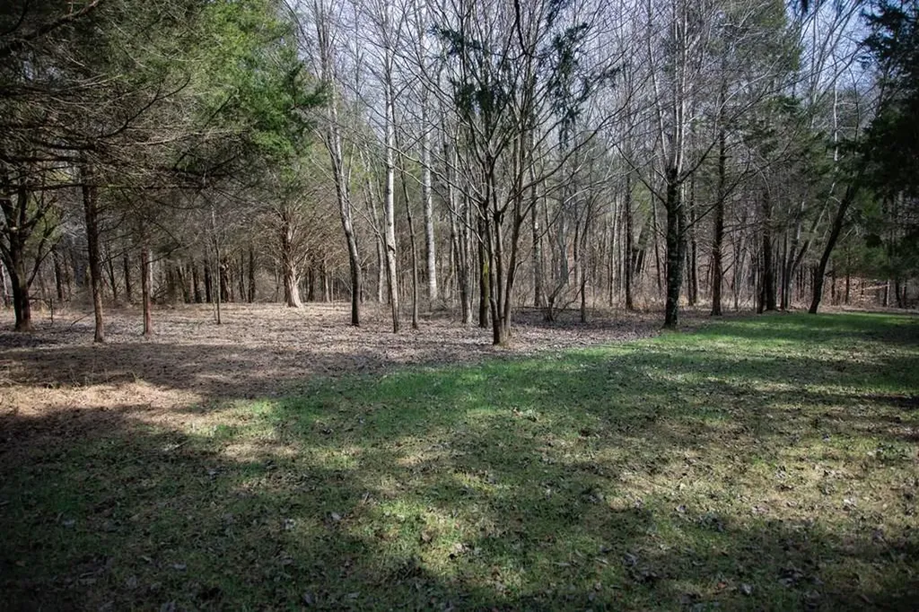 5.40 Ac. Tulip Lane Cookeville TN 38501