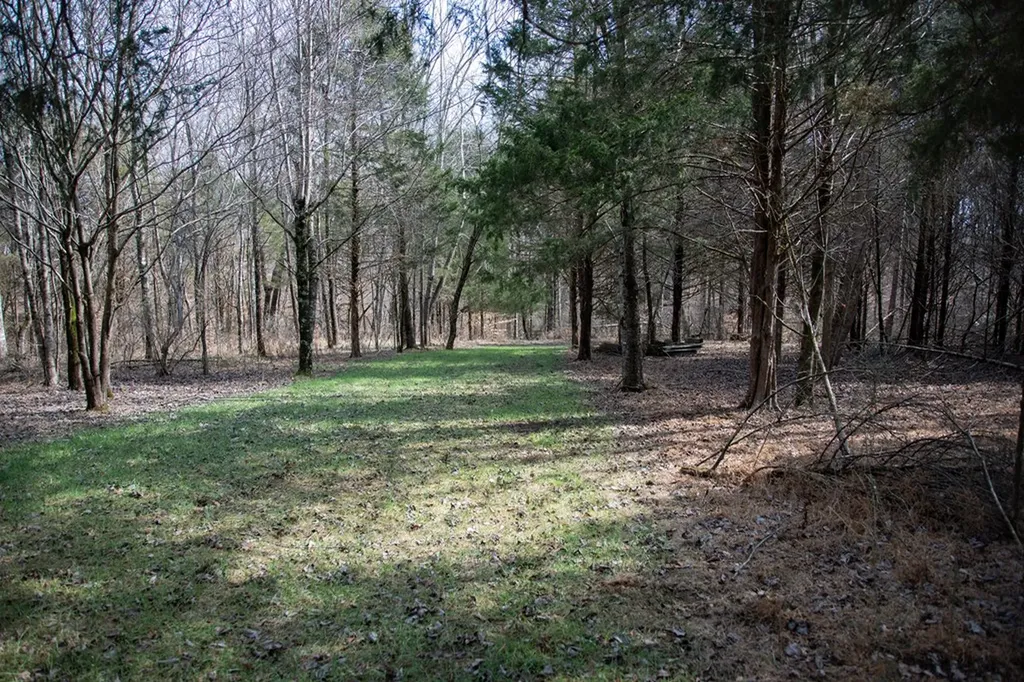 5.40 Ac. Tulip Lane Cookeville TN 38501