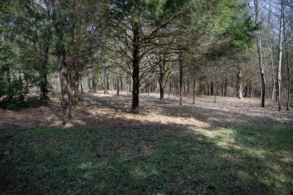 5.40 Ac. Tulip Lane Cookeville TN 38501