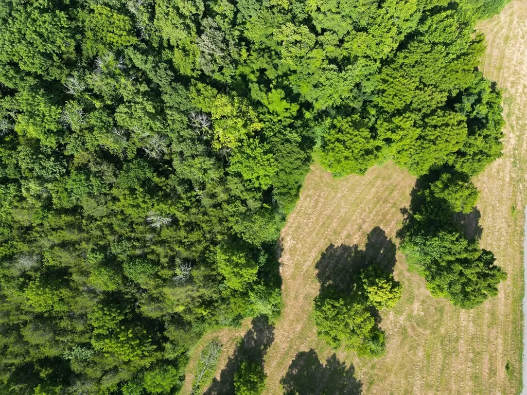 Lot 7 Jennings Creek Highway Gainesboro TN 38562