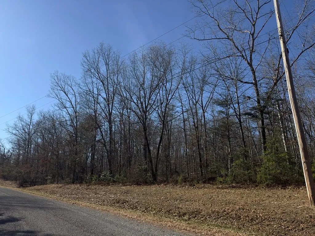 Lot 8 Anne Road Monterey TN 38574