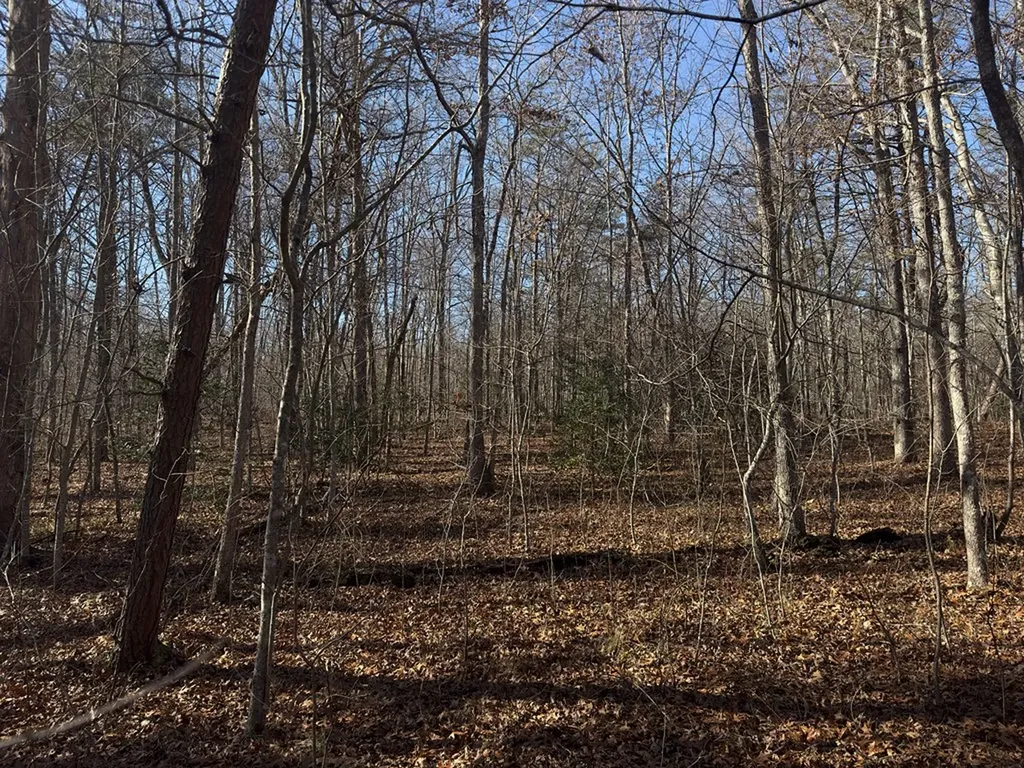 Lot 8 Anne Road Monterey TN 38574