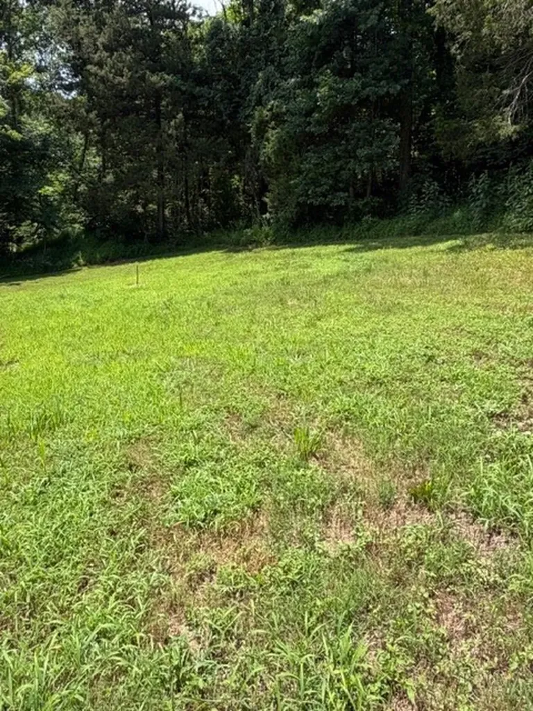 599 New Hope Road Celina TN 38551