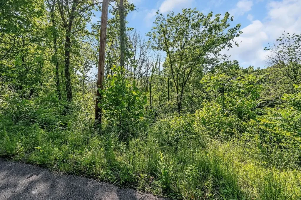 0 Harbor Pointe Silver Point TN 38582
