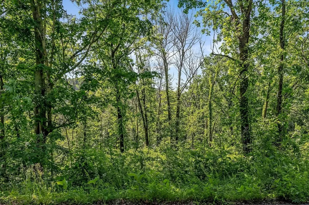 0 Harbor Pointe Silver Point TN 38582