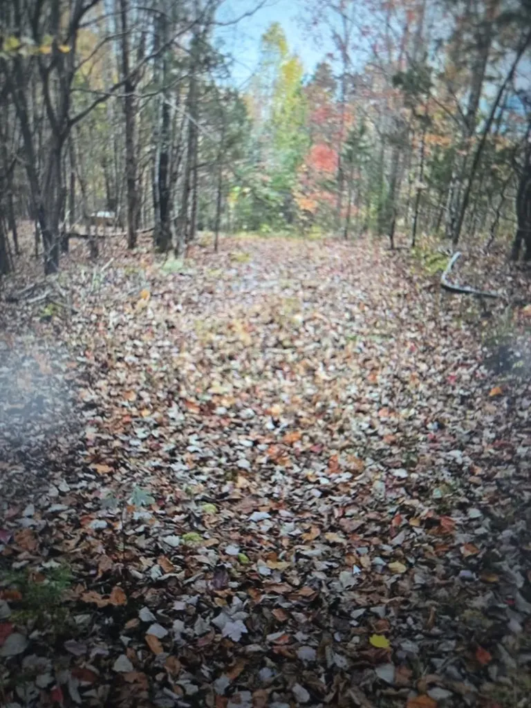 . Kenneth Linder/coyote Lane Livingston TN 38570