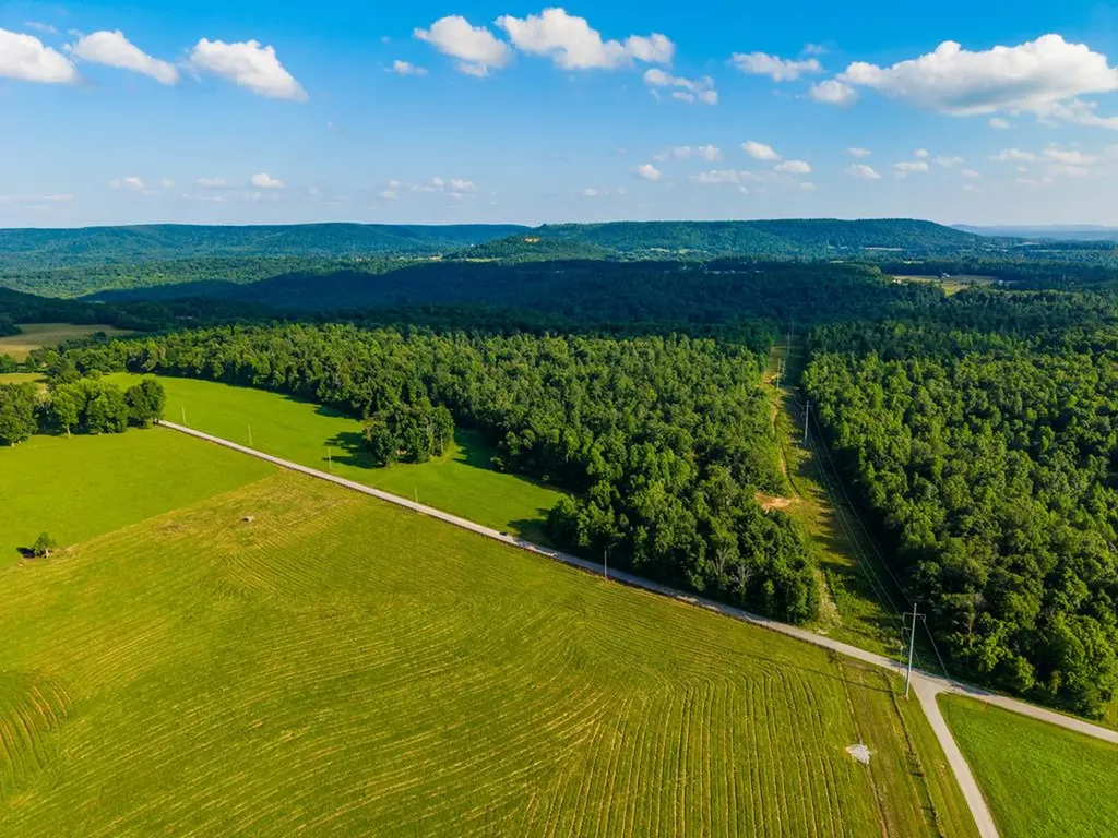 None 82 Ac. Linder Mountain Road Livingston TN 38570