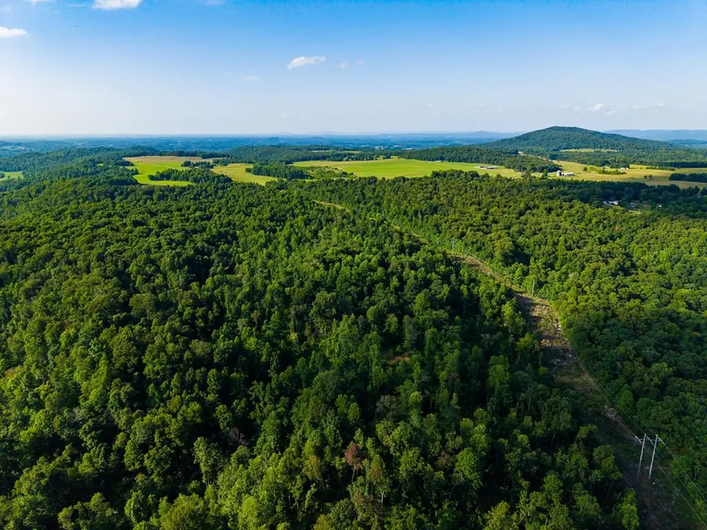 None 82 Ac. Linder Mountain Road Livingston TN 38570