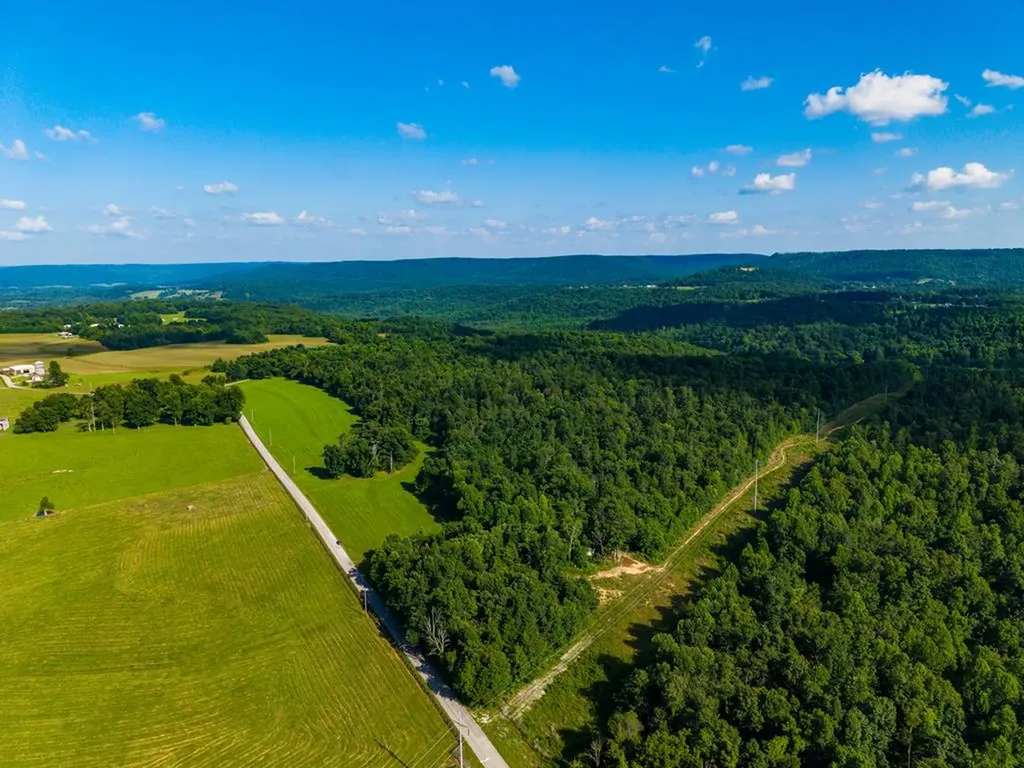 None 82 Ac. Linder Mountain Road Livingston TN 38570