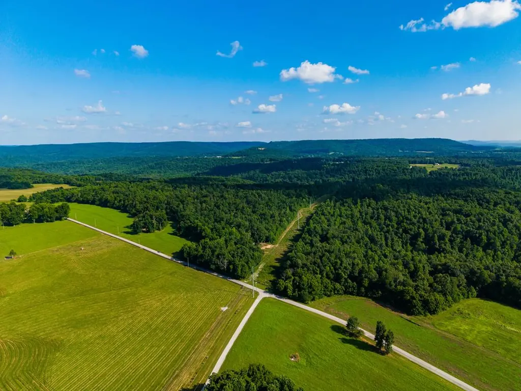 None 82 Ac. Linder Mountain Road Livingston TN 38570
