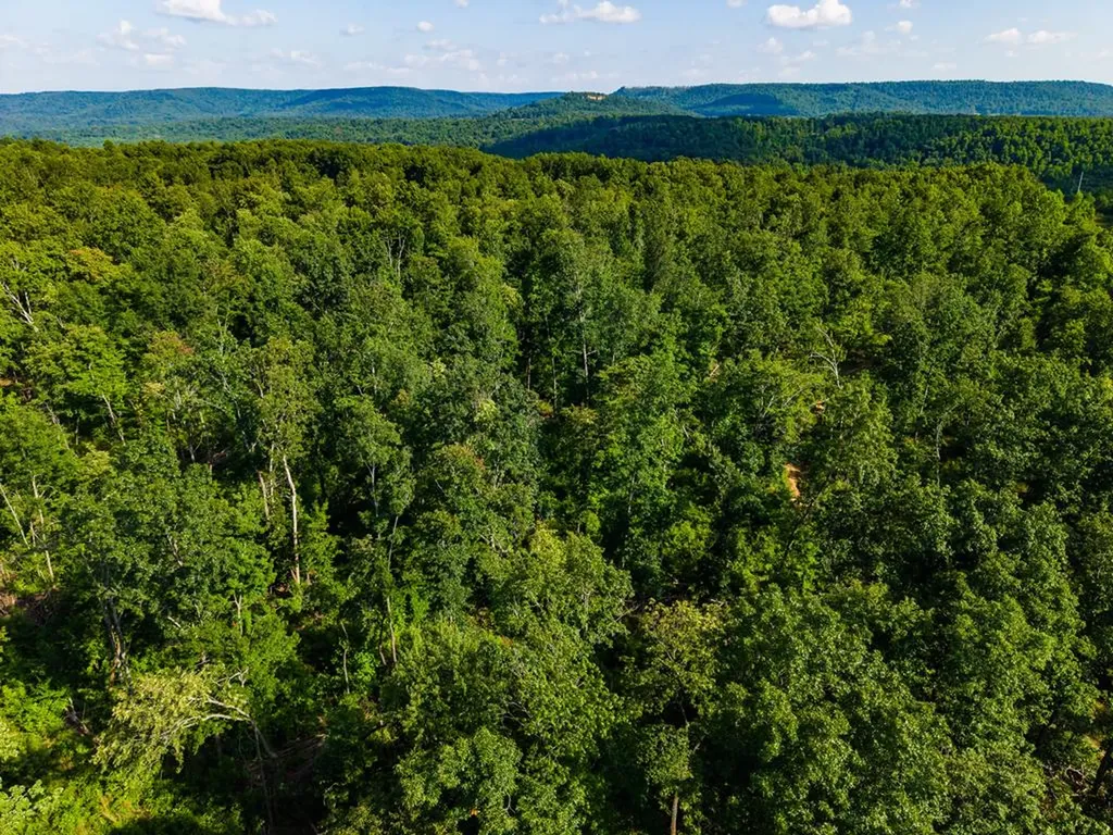 None 82 Ac. Linder Mountain Road Livingston TN 38570