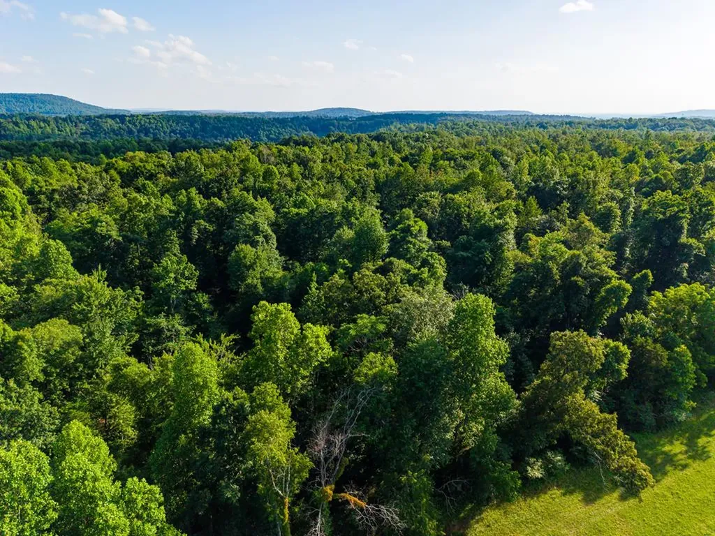 None 82 Ac. Linder Mountain Road Livingston TN 38570