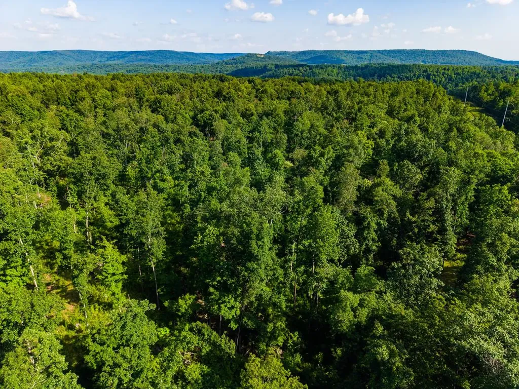 None 82 Ac. Linder Mountain Road Livingston TN 38570