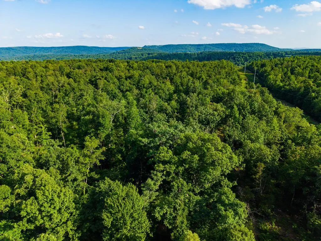None 82 Ac. Linder Mountain Road Livingston TN 38570