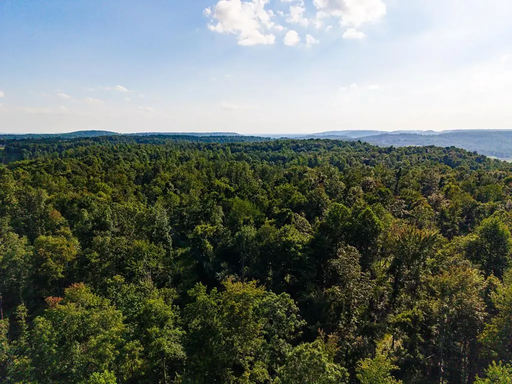 None 82 Ac. Linder Mountain Road Livingston TN 38570