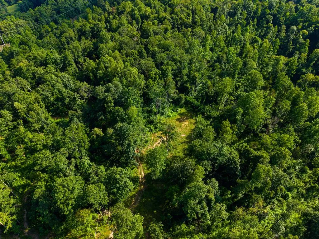 None 82 Ac. Linder Mountain Road Livingston TN 38570