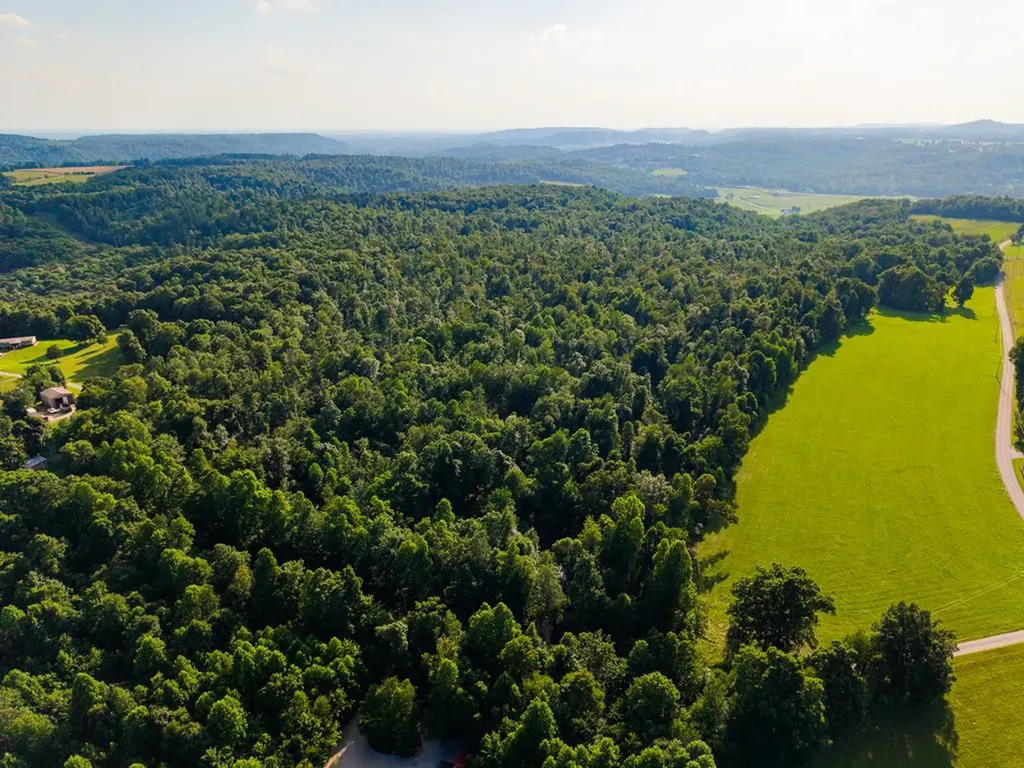 None 82 Ac. Linder Mountain Road Livingston TN 38570