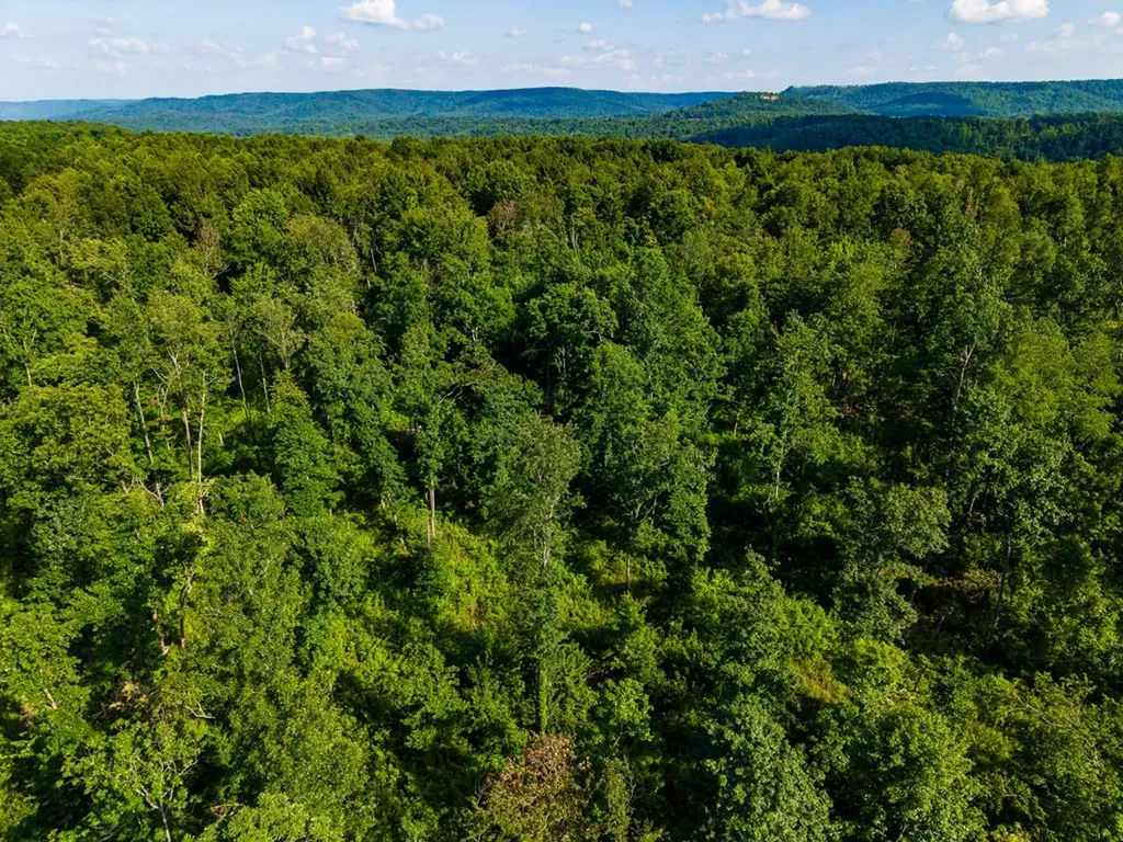 None 82 Ac. Linder Mountain Road Livingston TN 38570