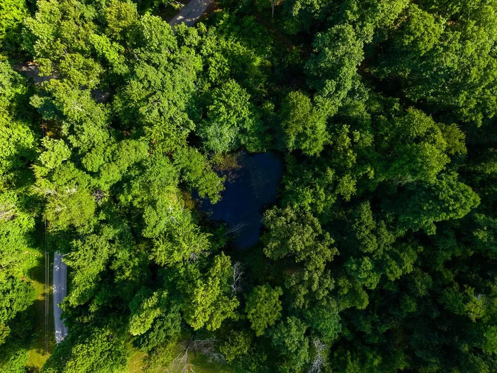 None 82 Ac. Linder Mountain Road Livingston TN 38570