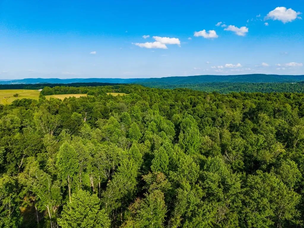None 82 Ac. Linder Mountain Road Livingston TN 38570