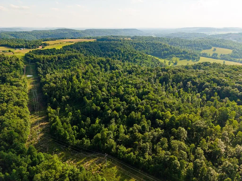 None 82 Ac. Linder Mountain Road Livingston TN 38570