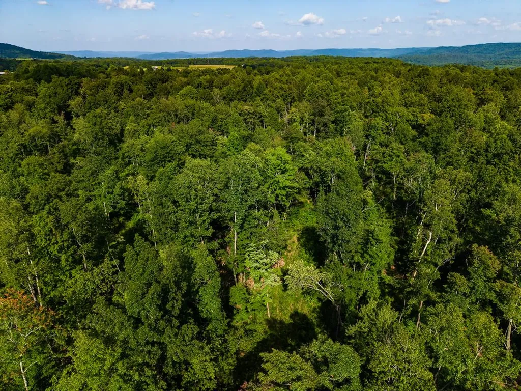 None 82 Ac. Linder Mountain Road Livingston TN 38570