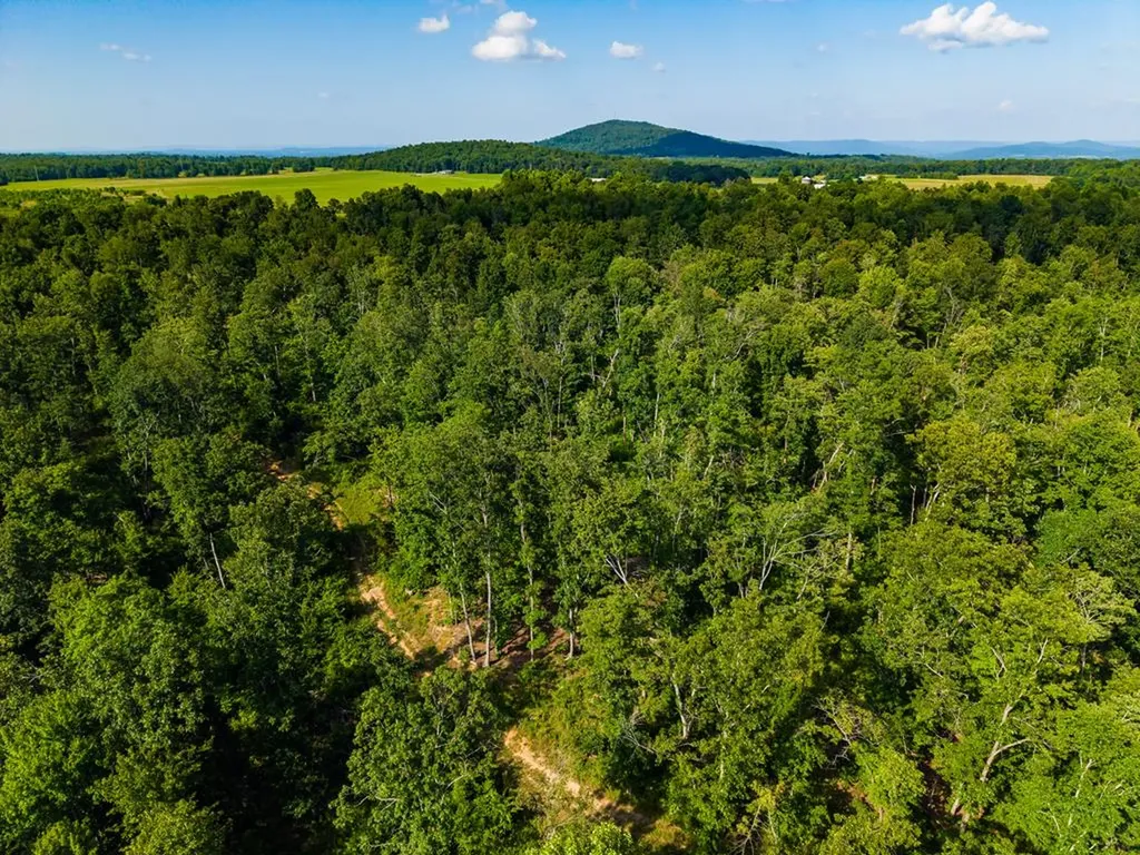 None 82 Ac. Linder Mountain Road Livingston TN 38570