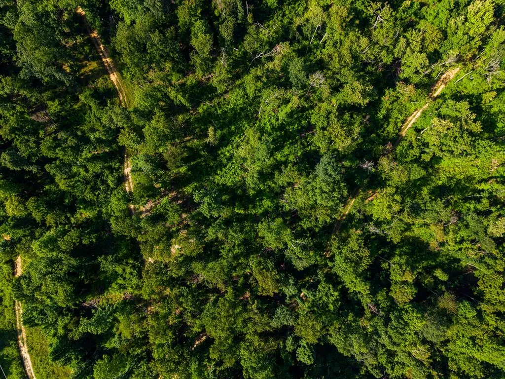 None 82 Ac. Linder Mountain Road Livingston TN 38570