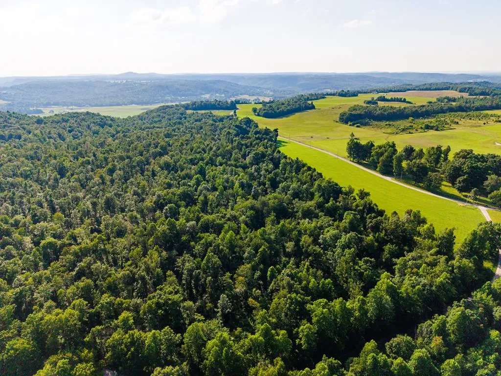 None 82 Ac. Linder Mountain Road Livingston TN 38570