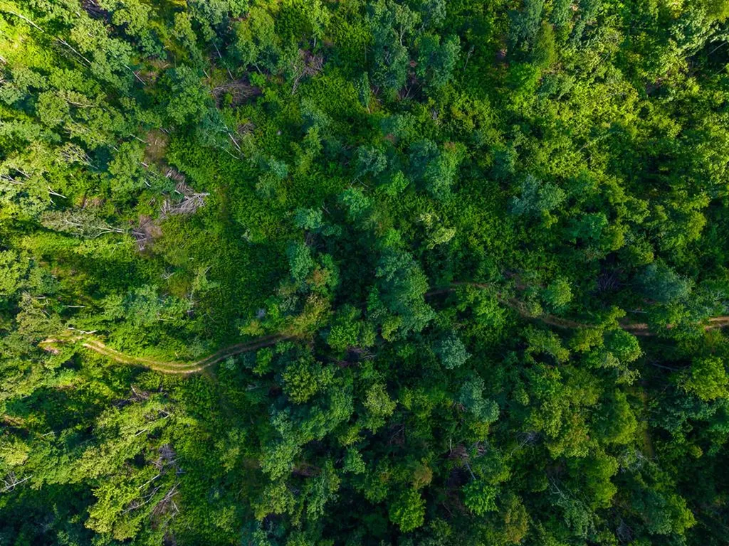 None 82 Ac. Linder Mountain Road Livingston TN 38570