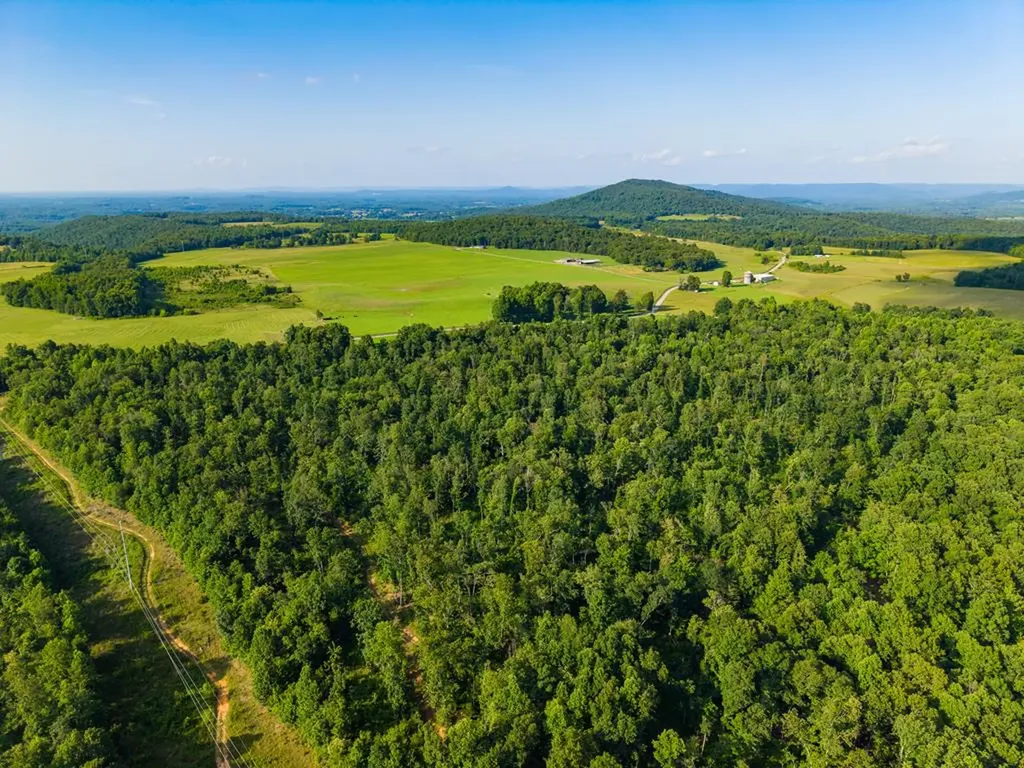 None 82 Ac. Linder Mountain Road Livingston TN 38570