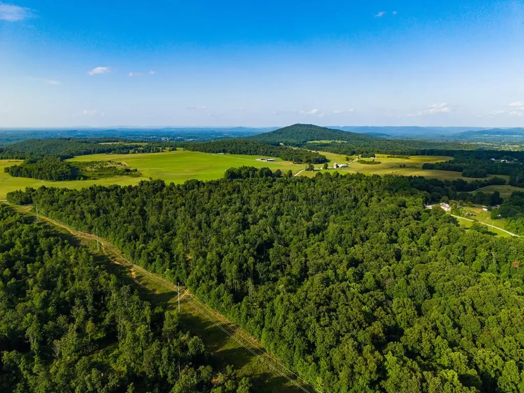 None 82 Ac. Linder Mountain Road Livingston TN 38570