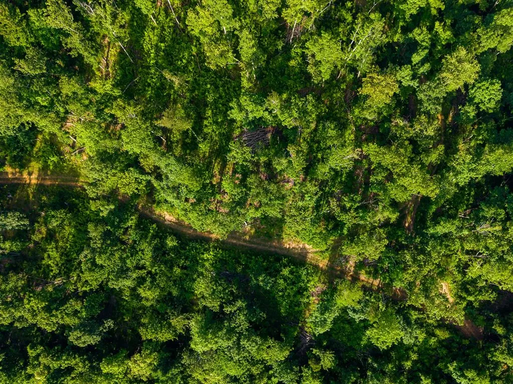 None 82 Ac. Linder Mountain Road Livingston TN 38570