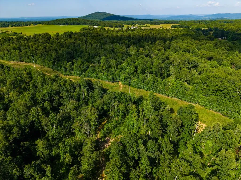None 82 Ac. Linder Mountain Road Livingston TN 38570