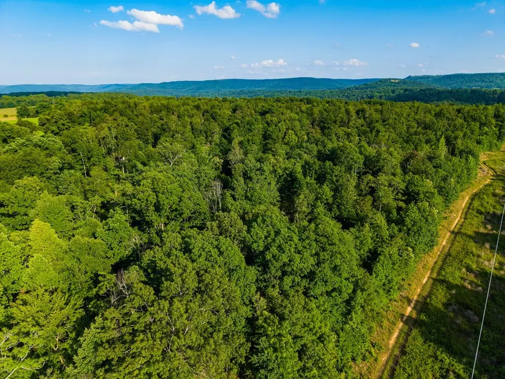 None 82 Ac. Linder Mountain Road Livingston TN 38570
