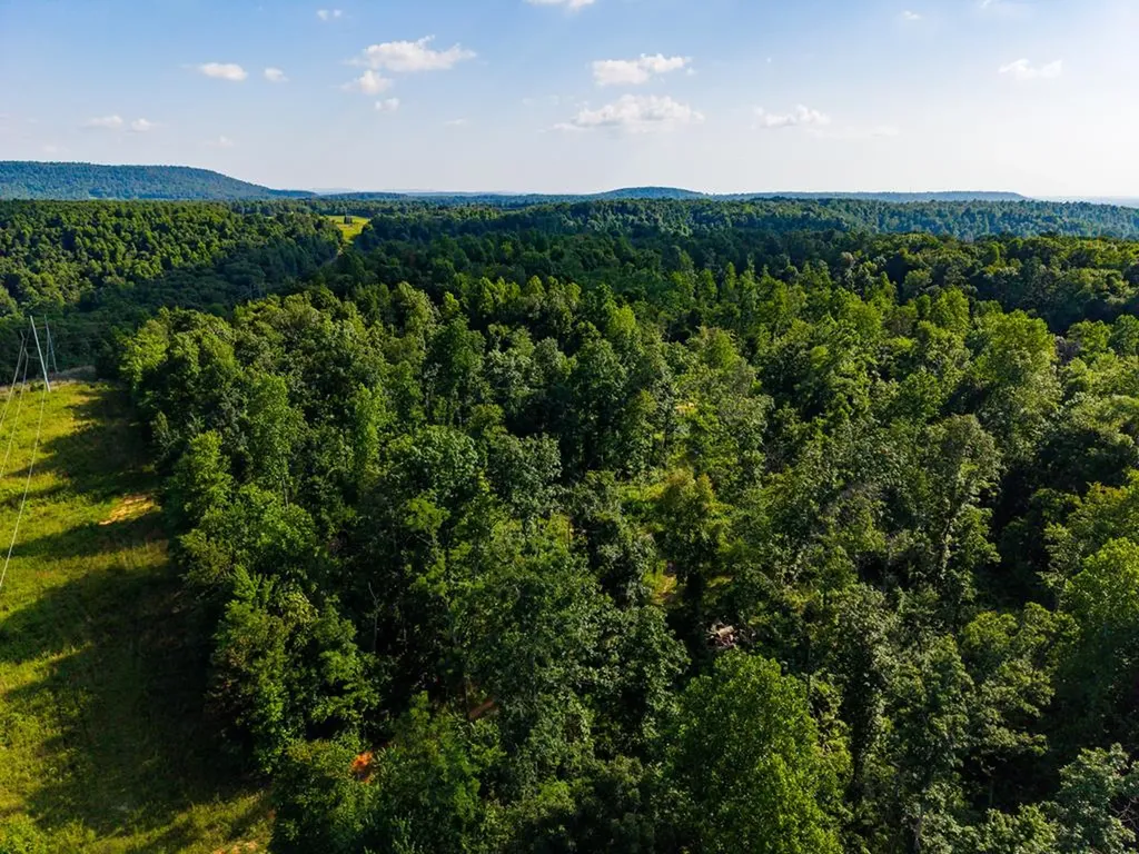 None 82 Ac. Linder Mountain Road Livingston TN 38570
