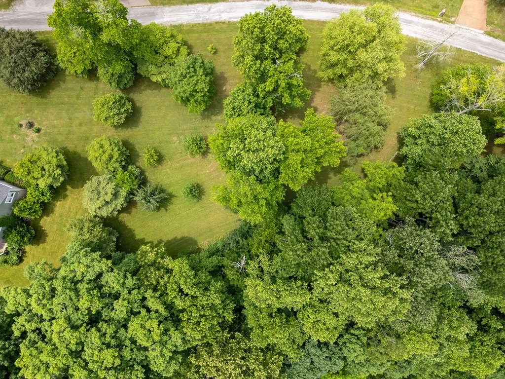 1 Lafever Ridge Road Silver Point TN 38582