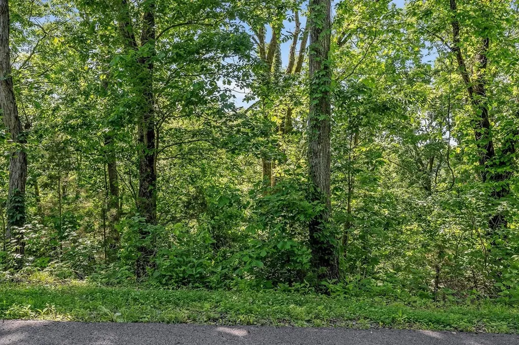 0 Harbor Pointe Silver Point TN 38582