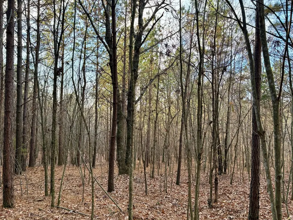 Lot 53 Topside Drive Spencer TN 38585
