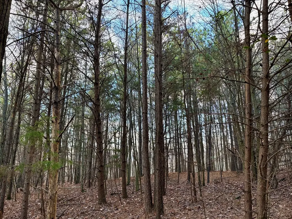 Lot 53 Topside Drive Spencer TN 38585