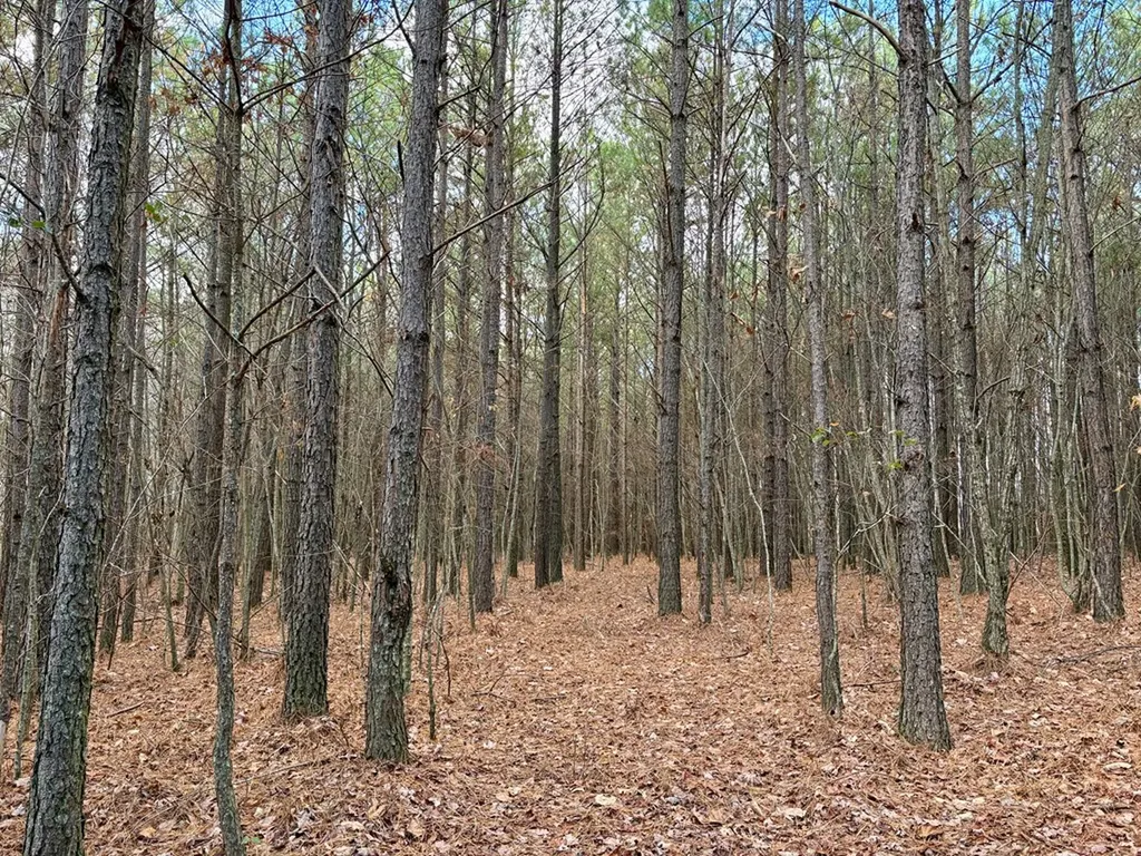 Lot 53 Topside Drive Spencer TN 38585