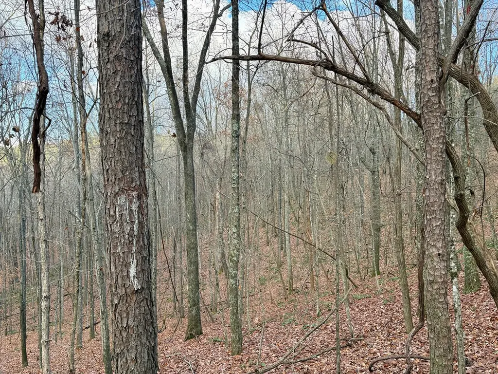 Lot 53 Topside Drive Spencer TN 38585