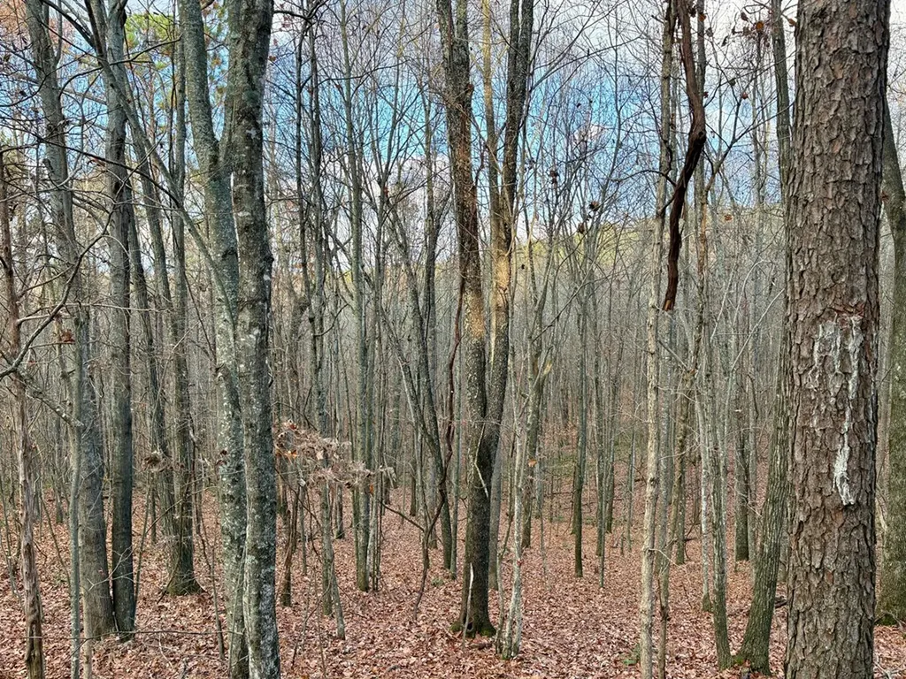 Lot 53 Topside Drive Spencer TN 38585