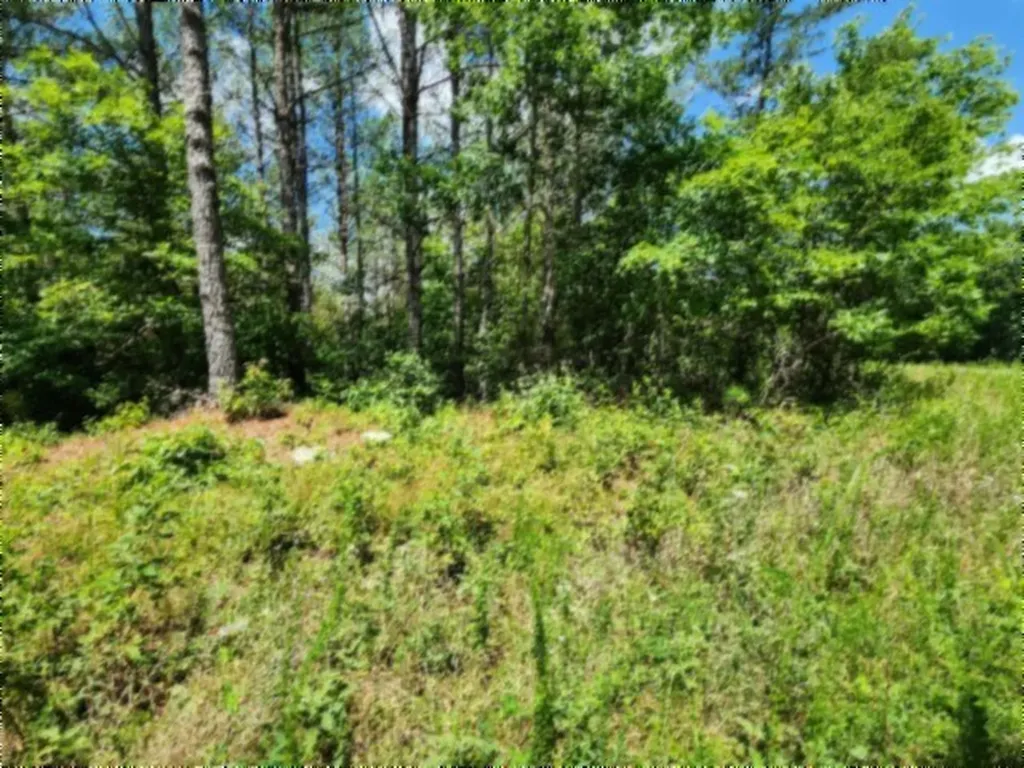674 Rhodas Way Sunbright TN 37872
