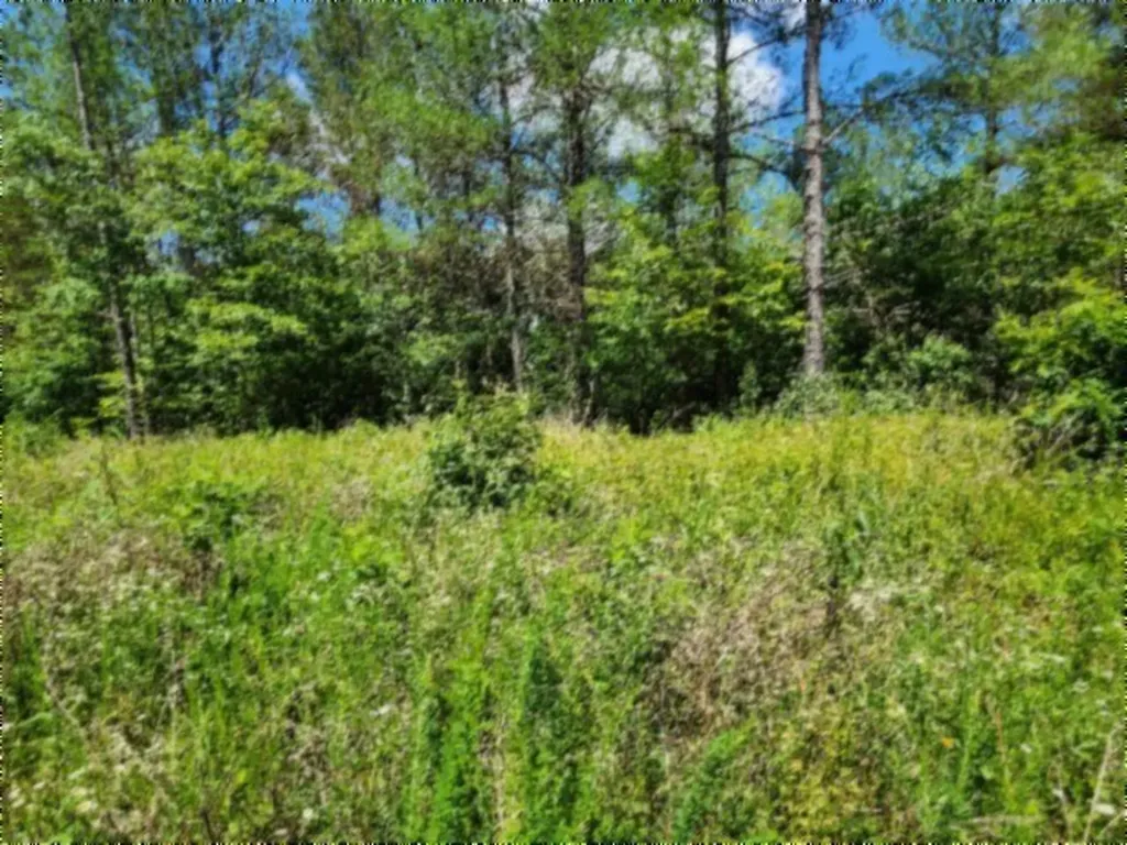 674 Rhodas Way Sunbright TN 37872