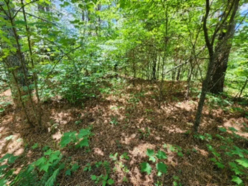 674 Rhodas Way Sunbright TN 37872